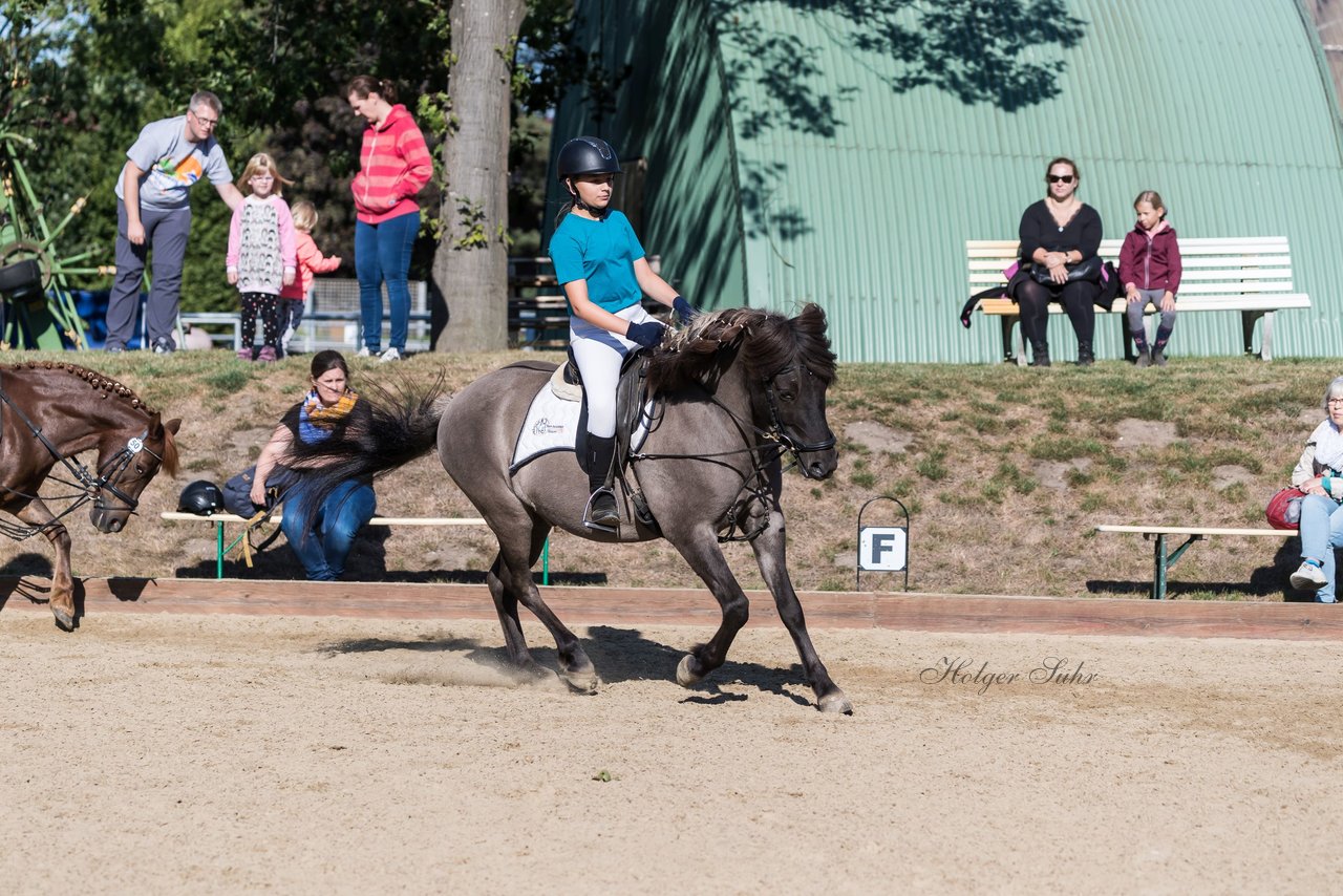 Bild 48 - Pony Akademie Turnier